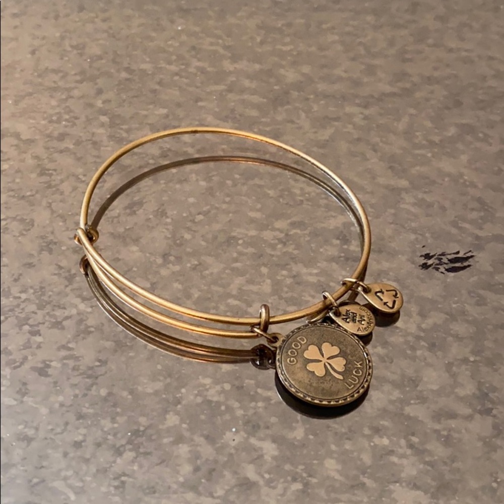 Alex and Ani Bracelet